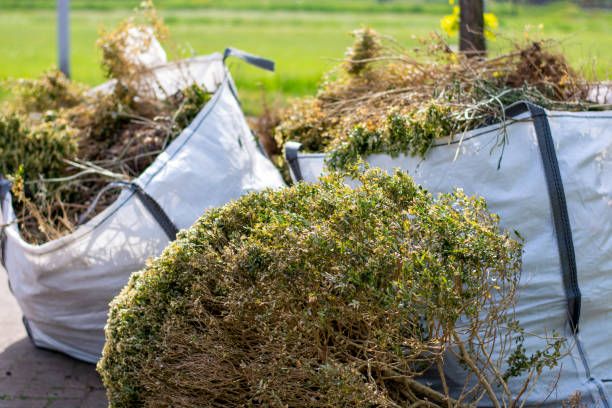 Best Same-Day Junk Removal  in Rialto, CA